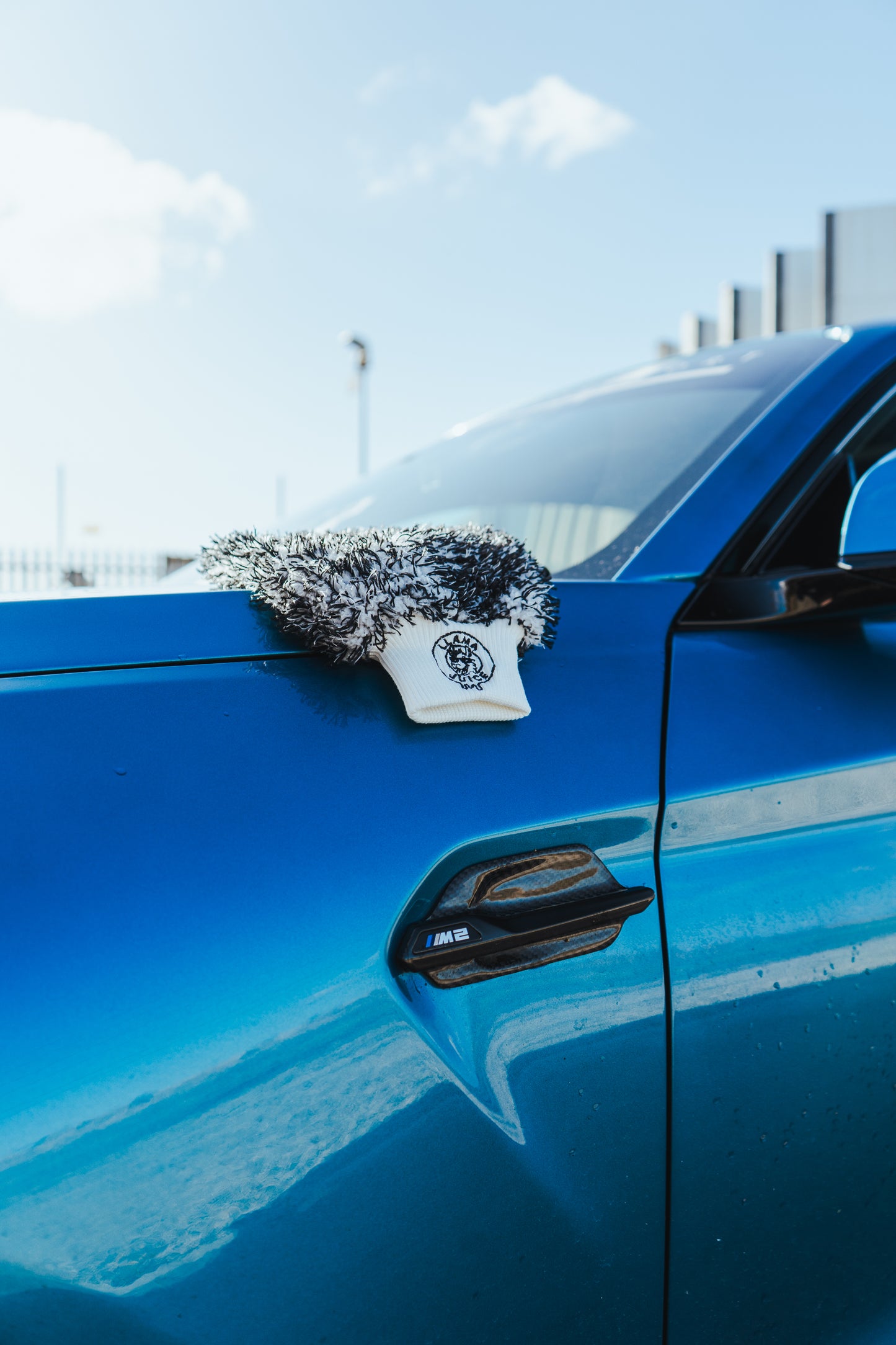 Llama Juice Wash Mitt