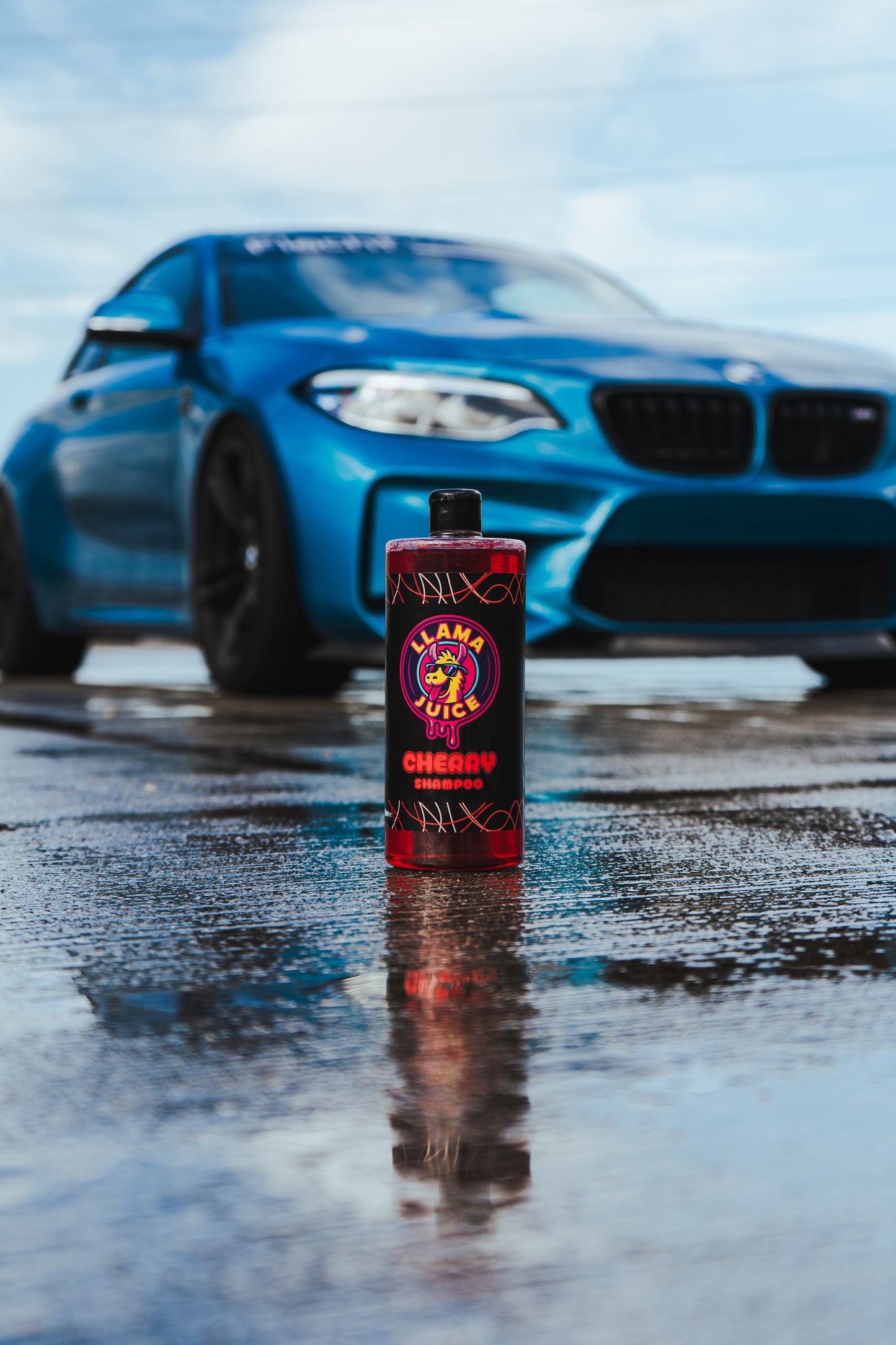 Shampoo + Wash mitt Bundle