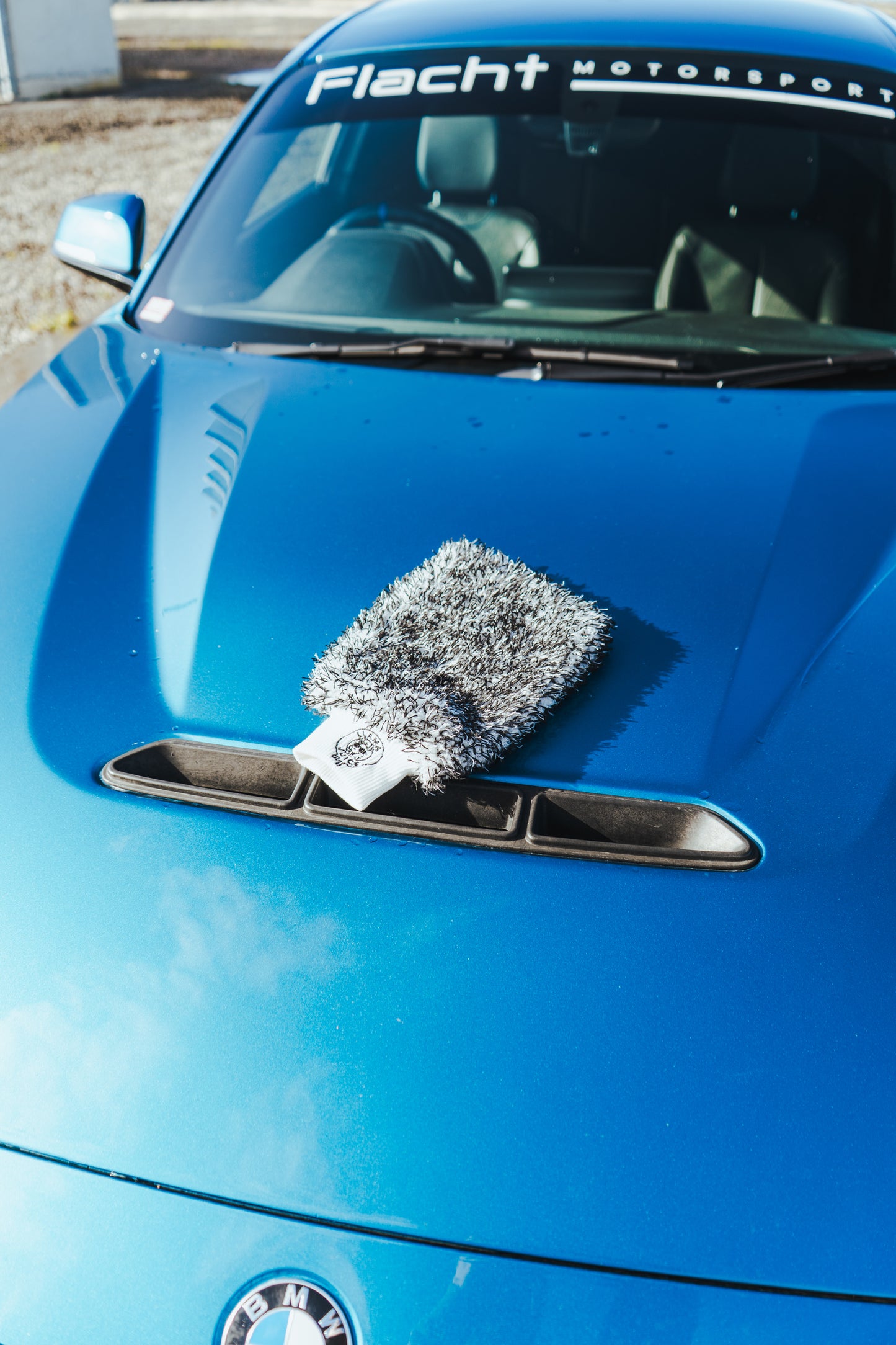 Llama Juice Wash Mitt