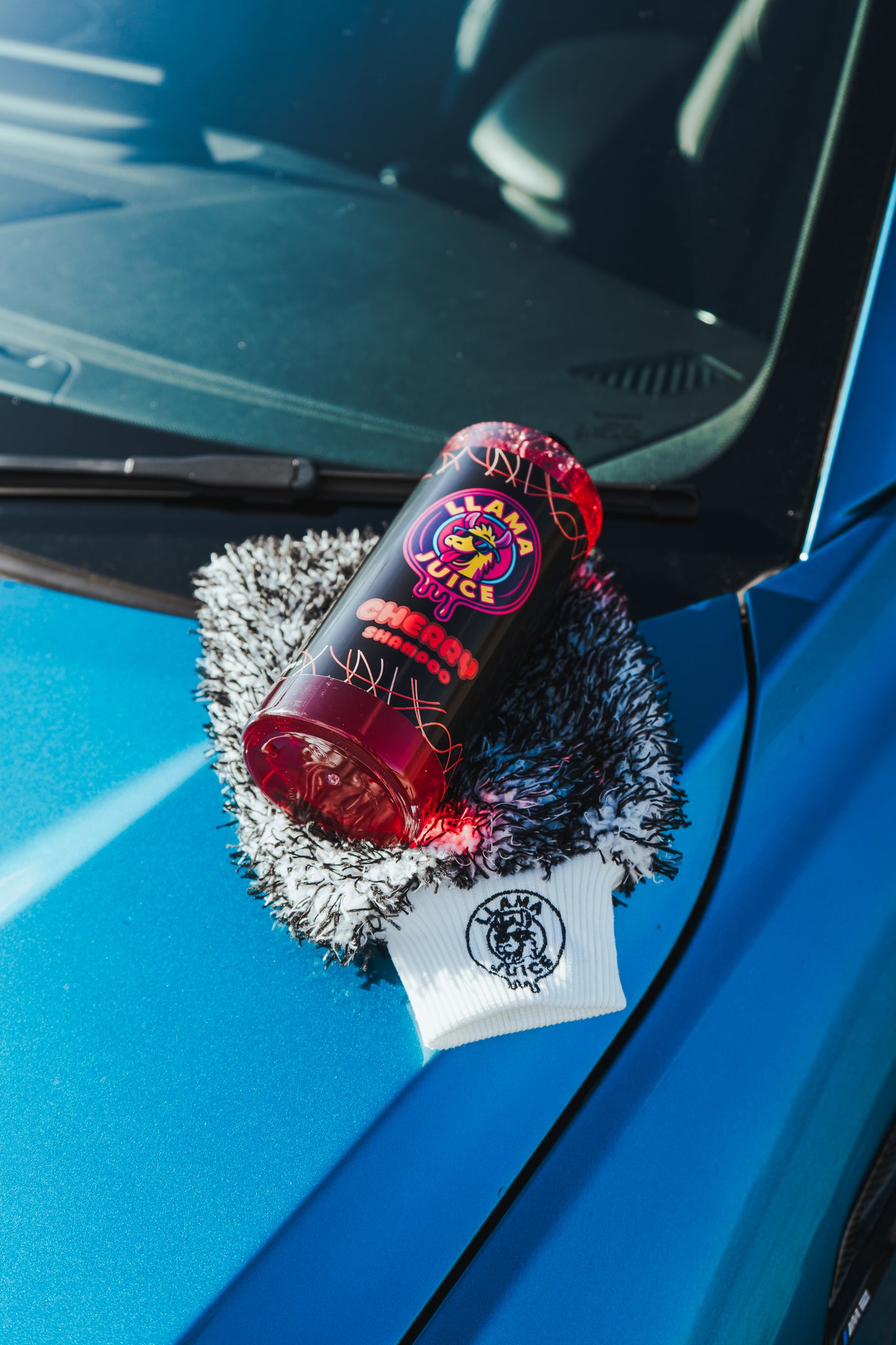 Shampoo + Wash mitt Bundle